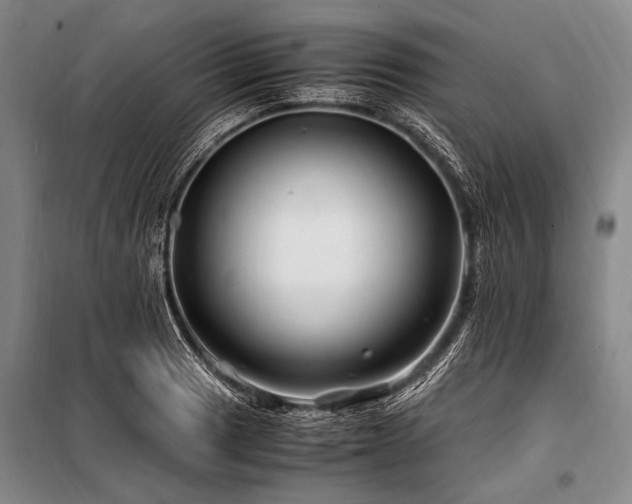 X0000101171033200806271029