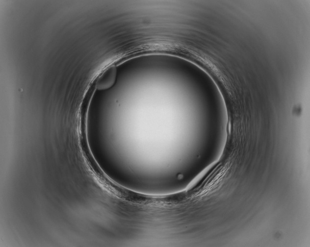 X0000101171034200806271029