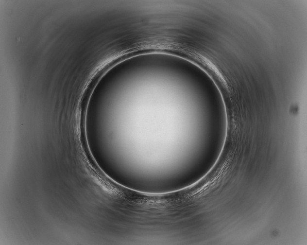X0000101171035200806271029