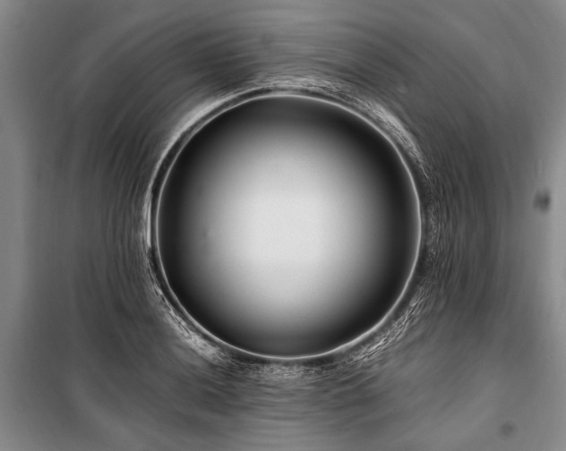 X0000101171036200806271029