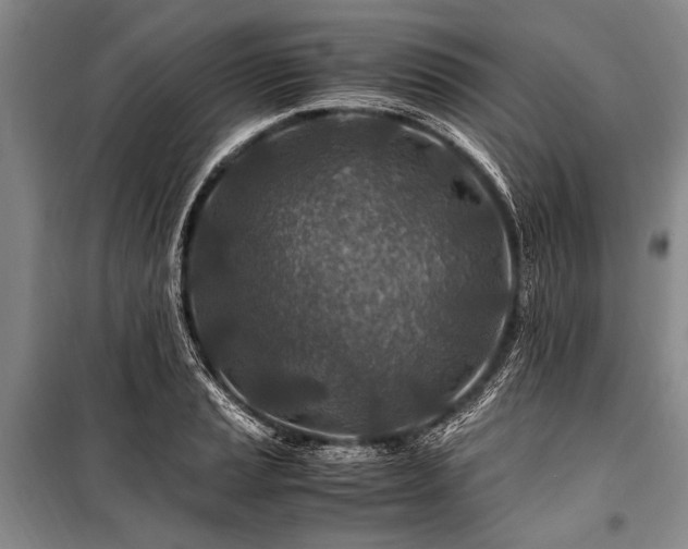 X0000101171037200806271029