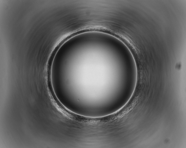 X0000101171038200806271029