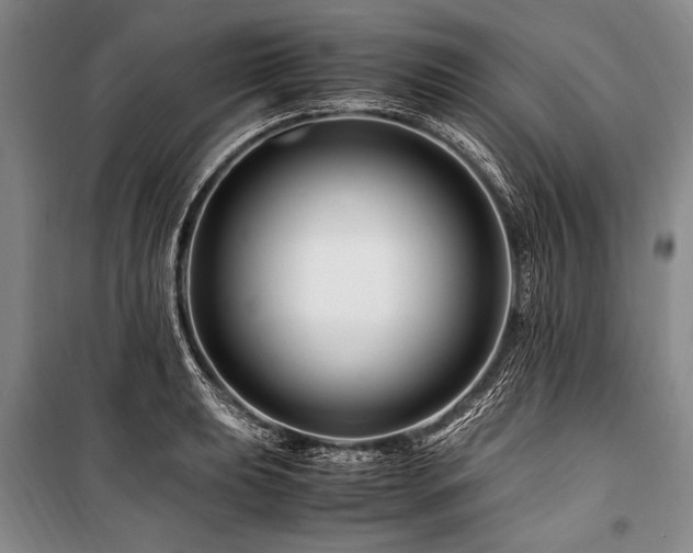 X0000101171039200806271029