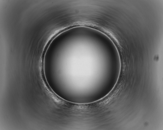 X0000101171040200806271029