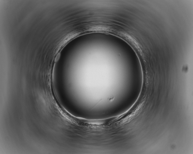 X0000101171041200806271029
