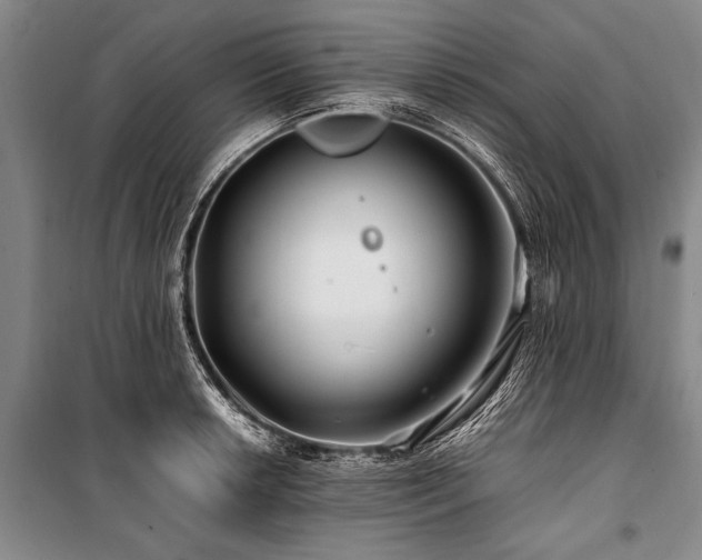 X0000101171042200806271029