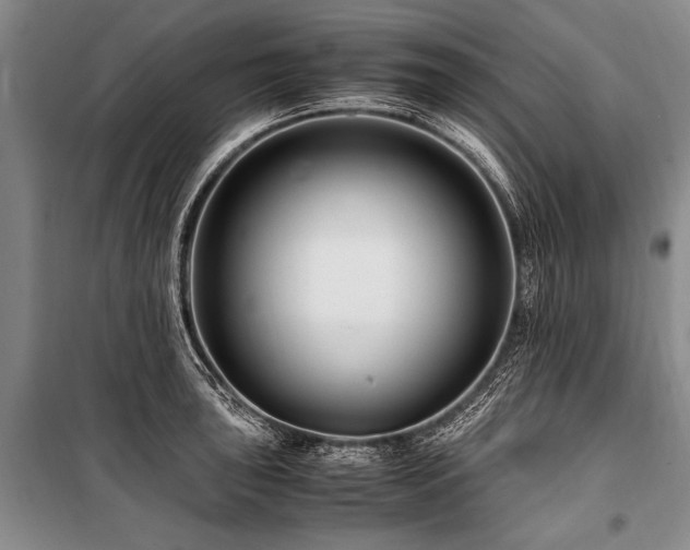 X0000101171043200806271029