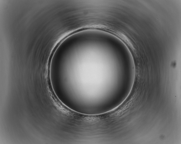 X0000101171044200806271029