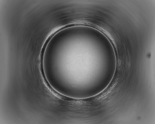 X0000101171045200806271029