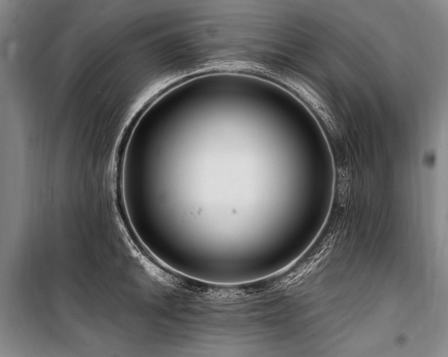 X0000101171046200806271029