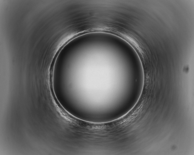 X0000101171047200806271029