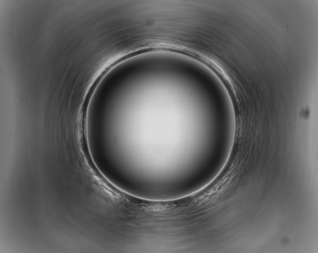 X0000101171048200806271029