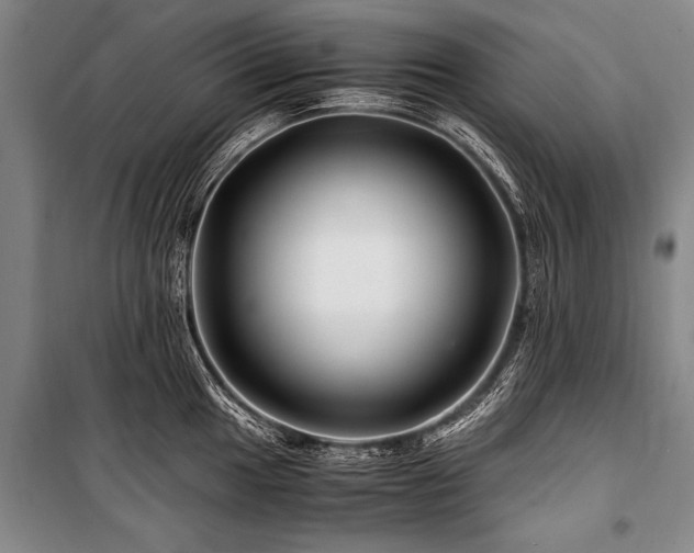 X0000101171049200806271029