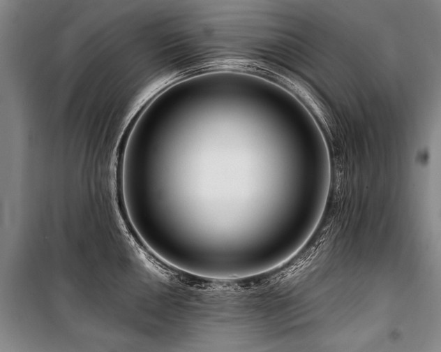 X0000101171050200806271029