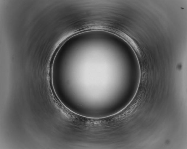 X0000101171051200806271029
