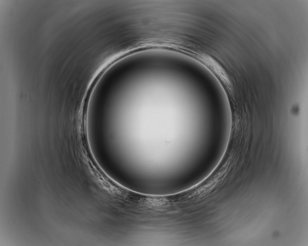 X0000101171052200806271030