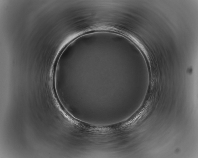 X0000101171053200806271030