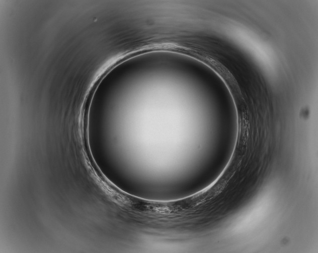 X0000101171054200806271030