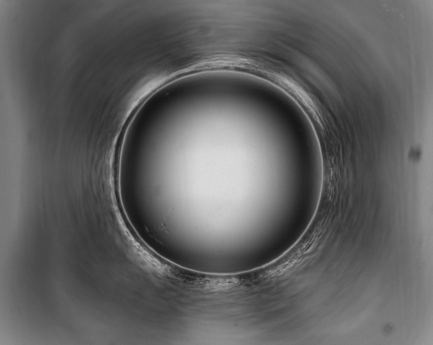 X0000101171055200806271030