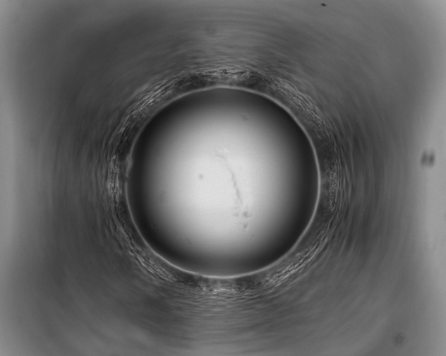 X0000101171058200806271029