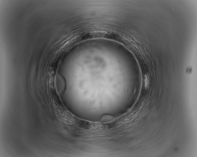X0000101171059200806271029