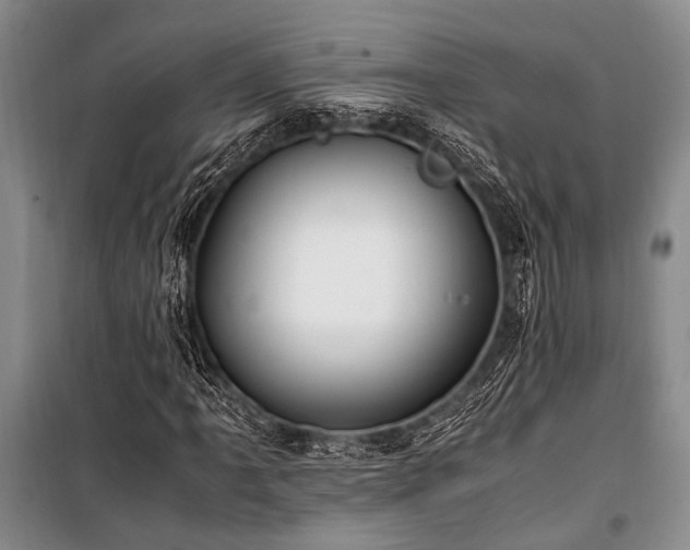 X0000101171061200806271029