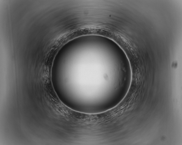 X0000101171062200806271029