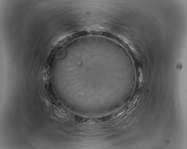 X0000101171063200806271029