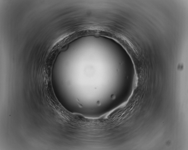 X0000101171064200806271029