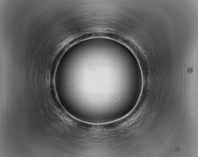 X0000101171065200806271029