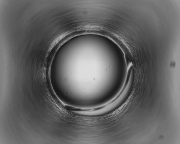 X0000101171066200806271029