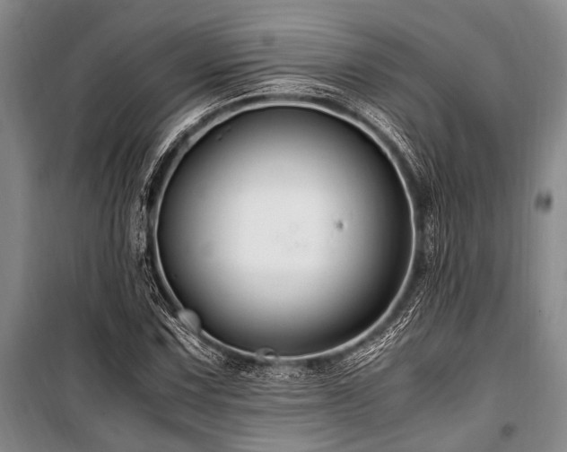 X0000101171067200806271029