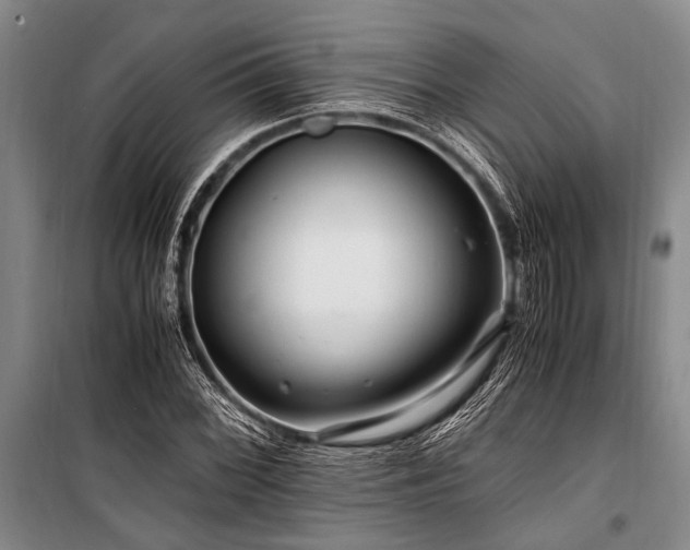 X0000101171068200806271029