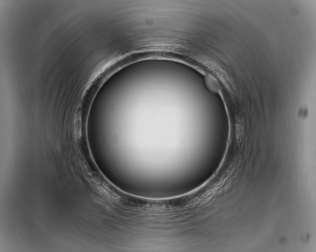X0000101171069200806271029