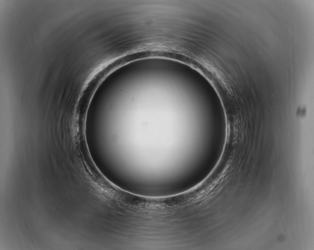 X0000101171070200806271029