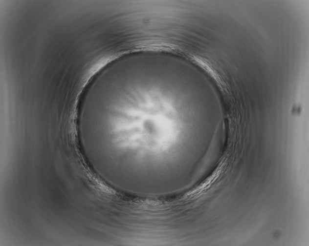 X0000101171071200806271029