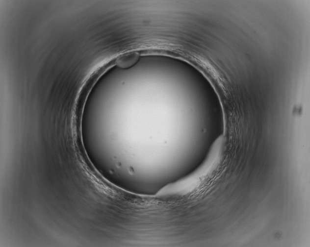 X0000101171072200806271029