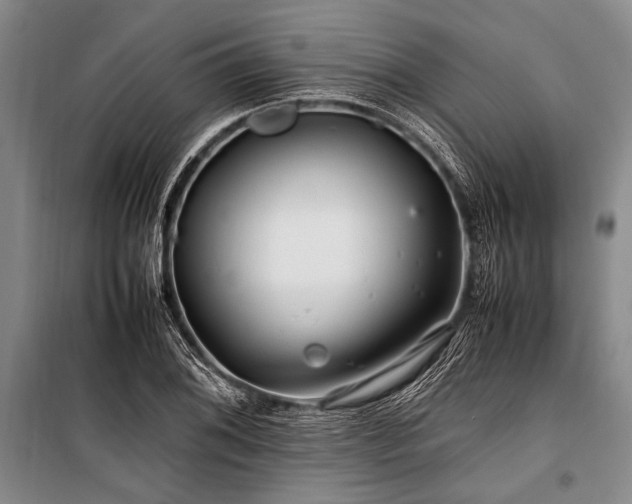 X0000101171076200806271028