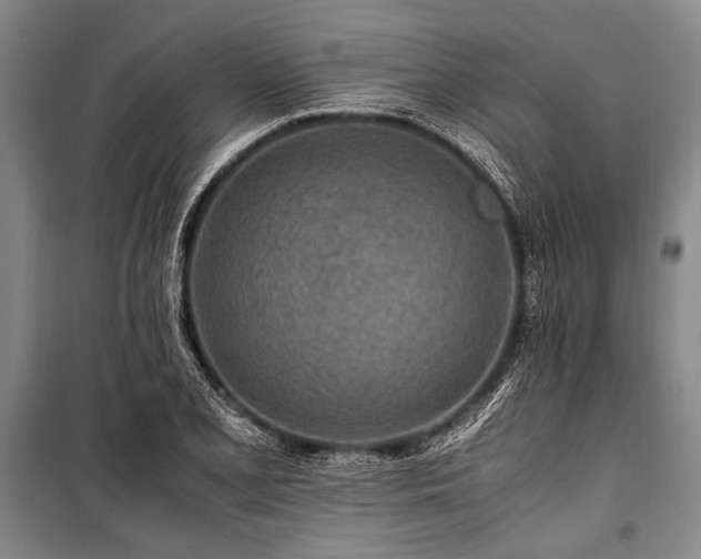 X0000101171077200806271028