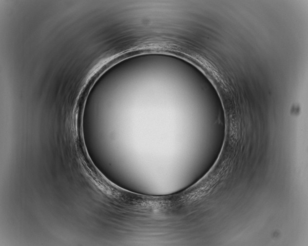 X0000101171078200806271028