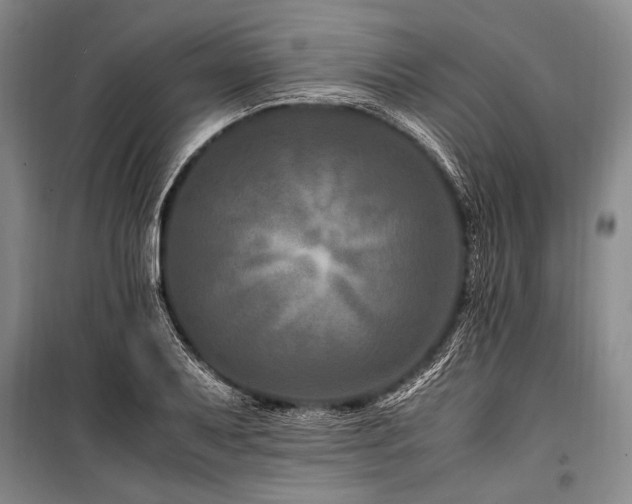 X0000101171079200806271028