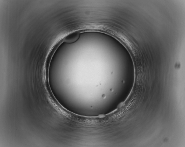 X0000101171080200806271028