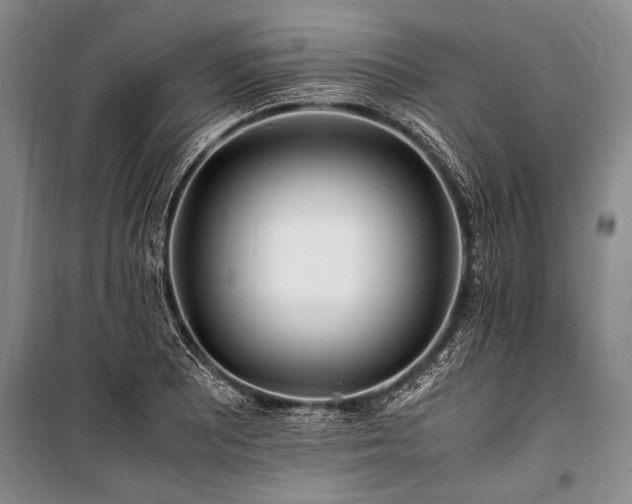 X0000101171081200806271028