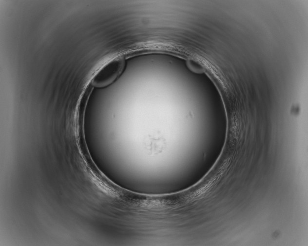 X0000101171082200806271028