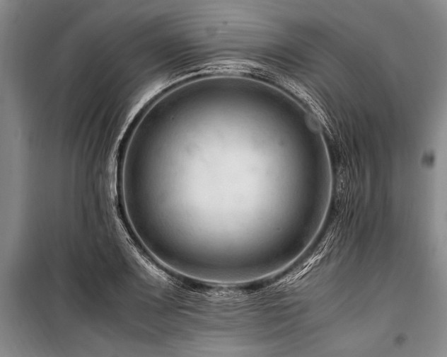 X0000101171083200806271028