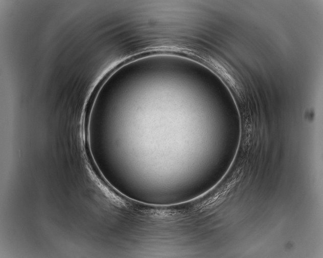 X0000101171084200806271028