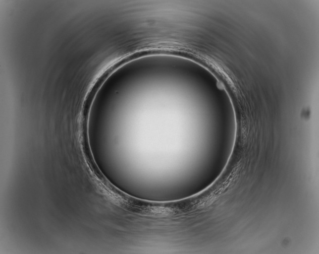 X0000101171085200806271028