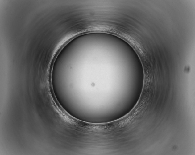 X0000101171086200806271028