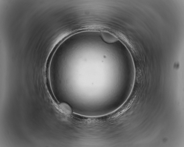 X0000101171087200806271028