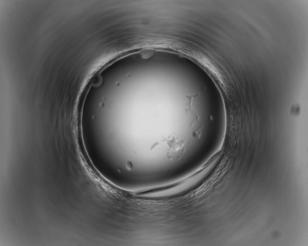 X0000101171088200806271028